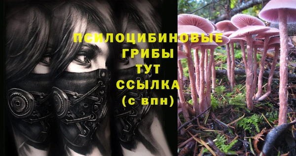 бошки Карпинск