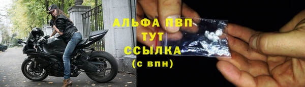 бошки Карпинск