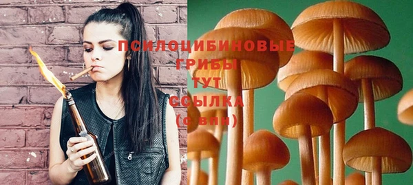ПСИЛОЦИБИНОВЫЕ ГРИБЫ Касимов