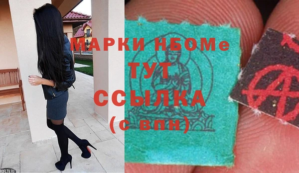ПСИЛОЦИБИНОВЫЕ ГРИБЫ Касимов