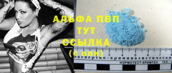 бошки Карпинск