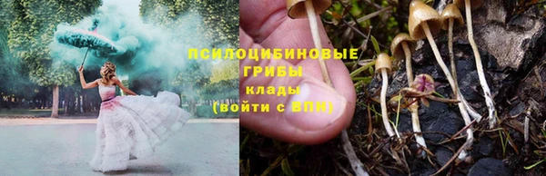 бошки Карпинск